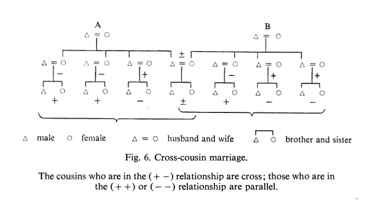 Levi-Strauss Claude 1949 1969 Cross-cousin marriage.jpg