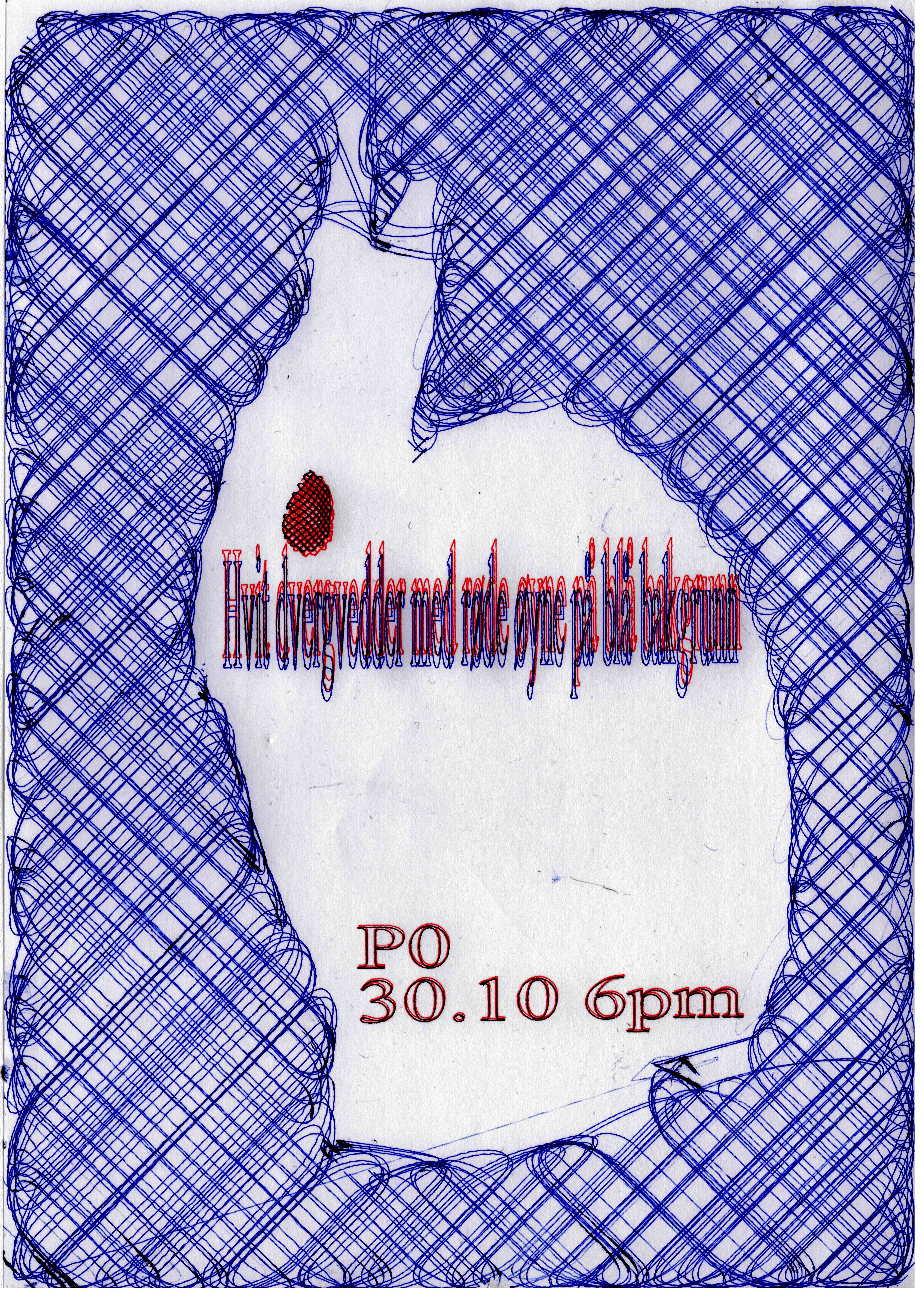 Hvit dvergvedder med røde øyne på blå bakgrunn.jpg