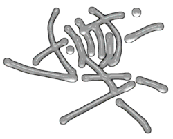 File:Troping-jailbreakgesture-curatedbykarialtmann.gif