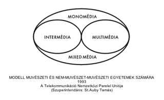 Intermedia department model.gif