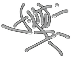 File:Troping-jailbreak-gesture-001.jpg