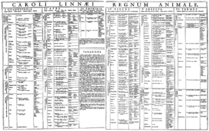 Linnaeus Carolus 1735 Regnum animale.png