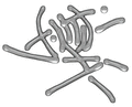 Thumbnail for version as of 10:46, 11 February 2025
