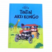 Manouach Ilan Tintin Akei Kongo 2015.jpg