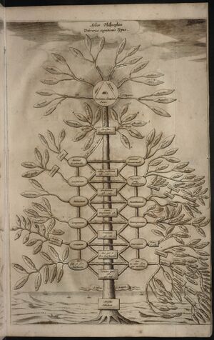 Kircher Athanasius 1669 Arbor philosophica.jpg