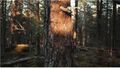Thumbnail for version as of 09:30, 11 October 2025