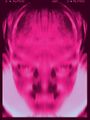 Thumbnail for version as of 13:49, 19 October 2025